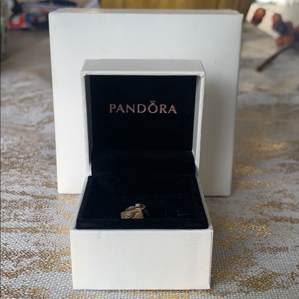Pandora Graduation Charm